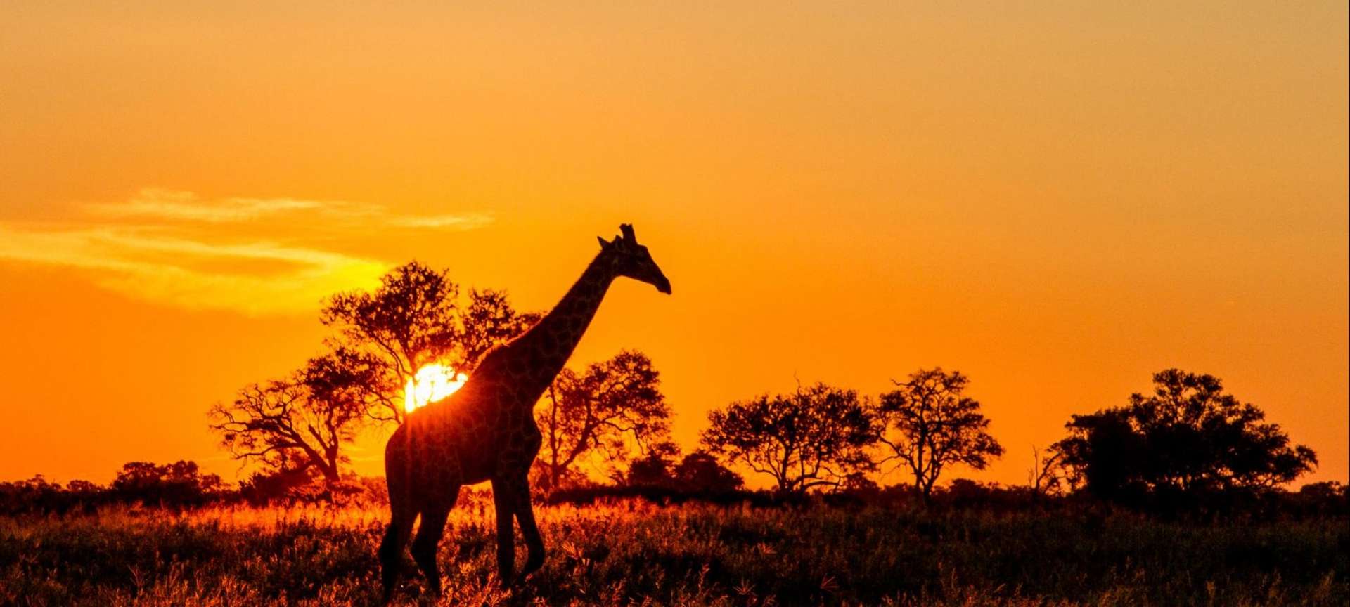 Tanzania Southern Circuit - Africa Wildlife Safaris