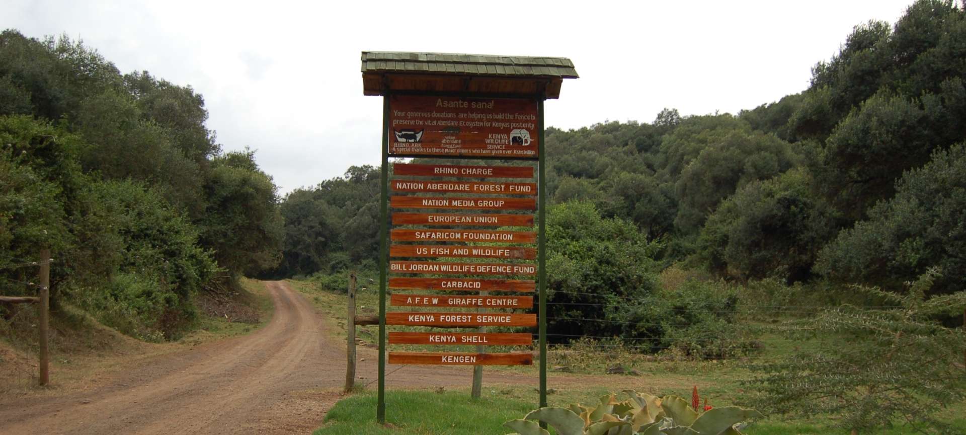 Aberdare National Park - Africa Wildlife Safaris