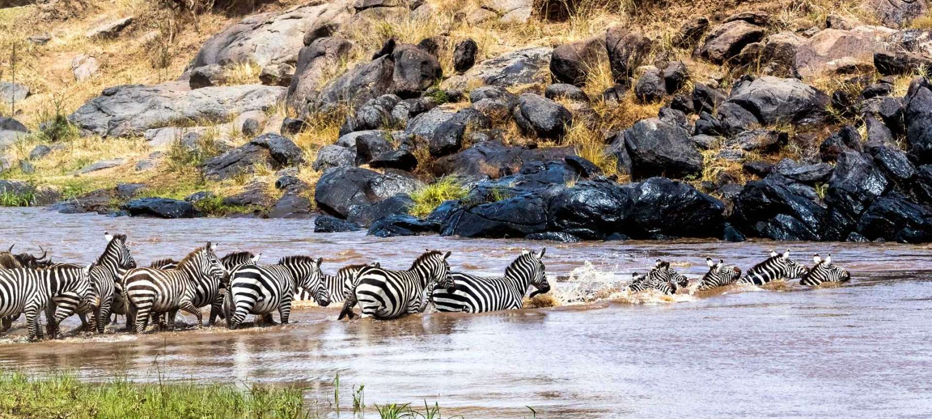 Kenya Southwest - Africa Wildlife Safaris
