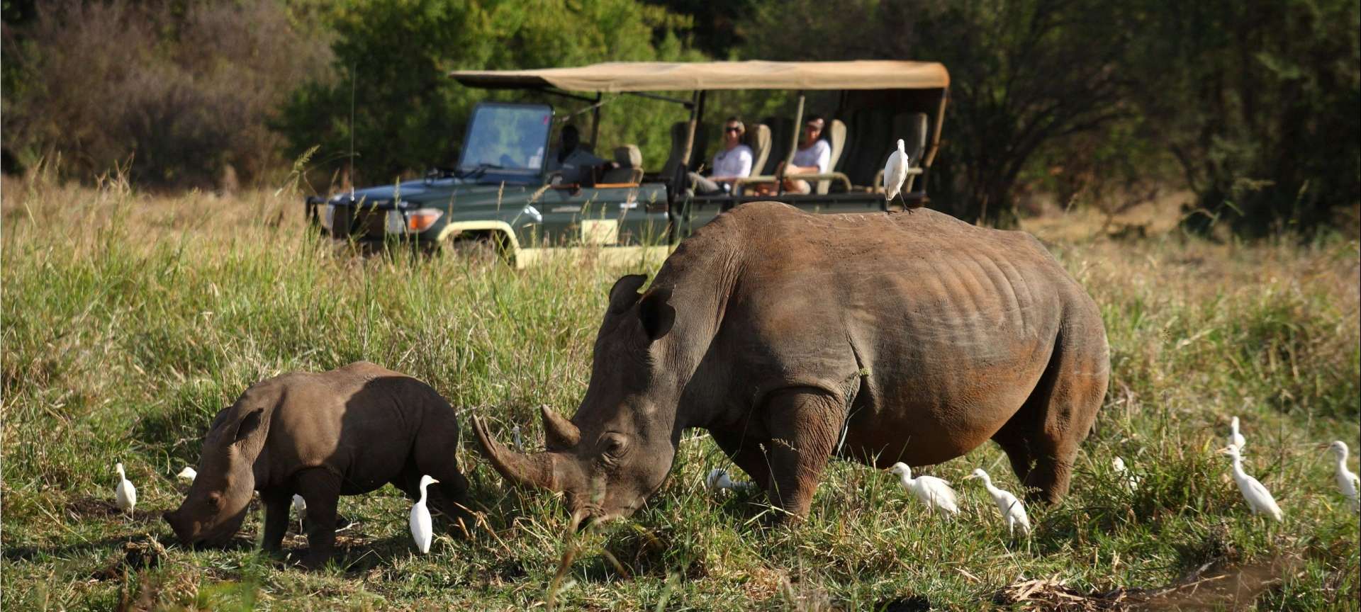 Meru National Park - Africa Wildlife Safaris