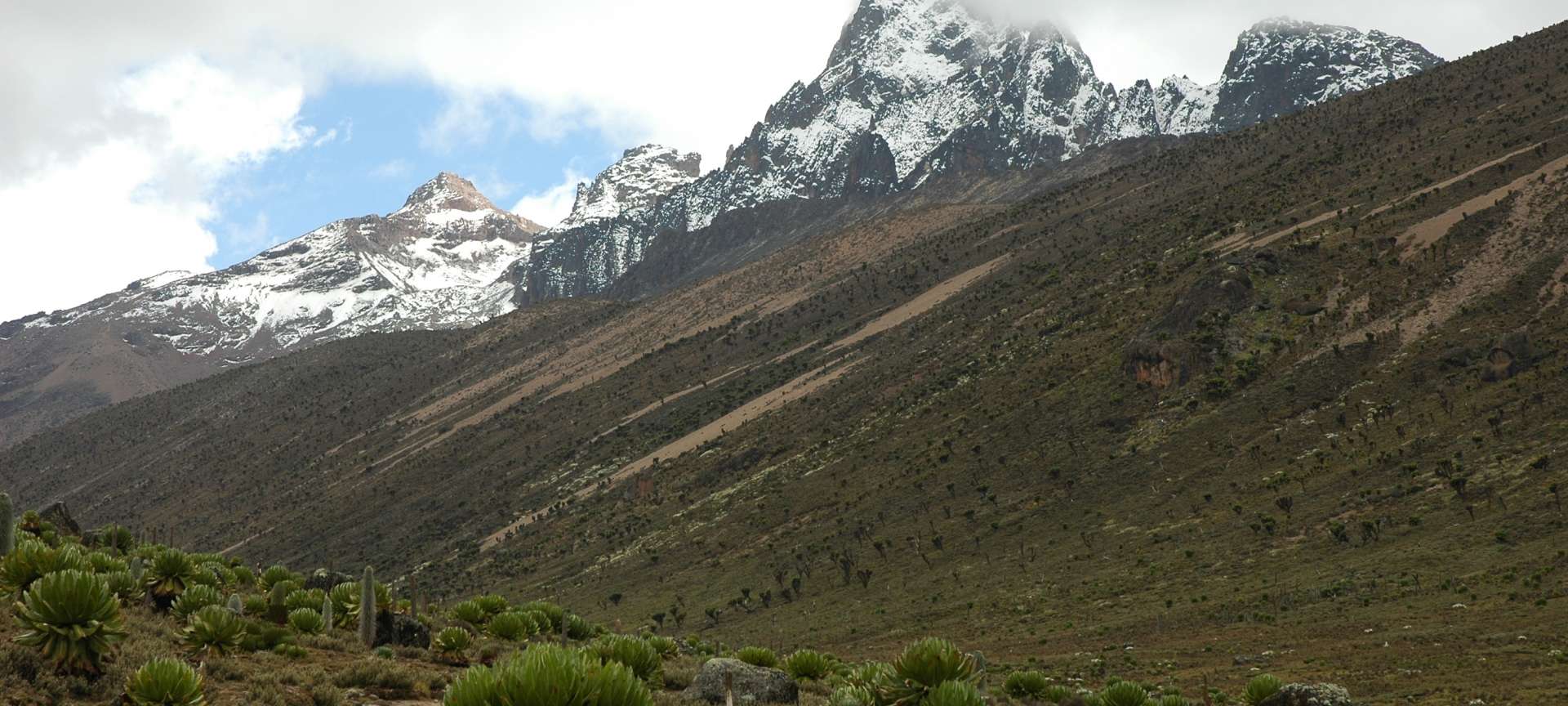 Mount Kenya National Park - Africa Wildlife Safaris
