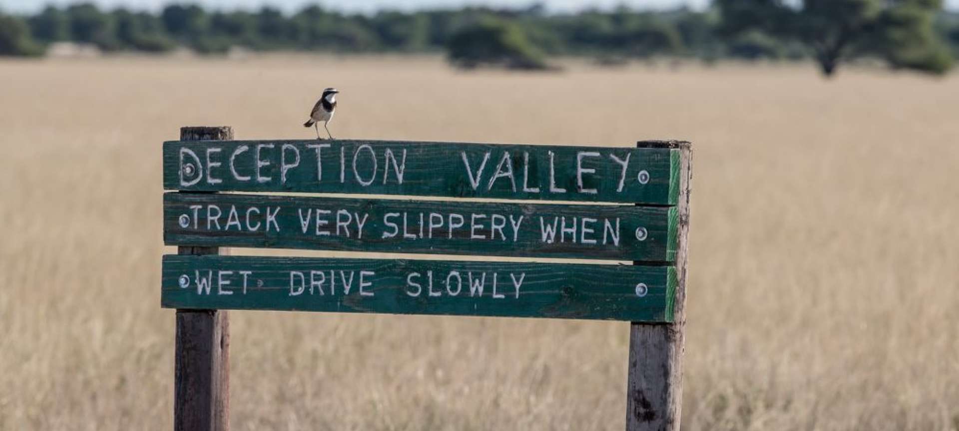 Deception Valley - Africa Wildlife Safaris