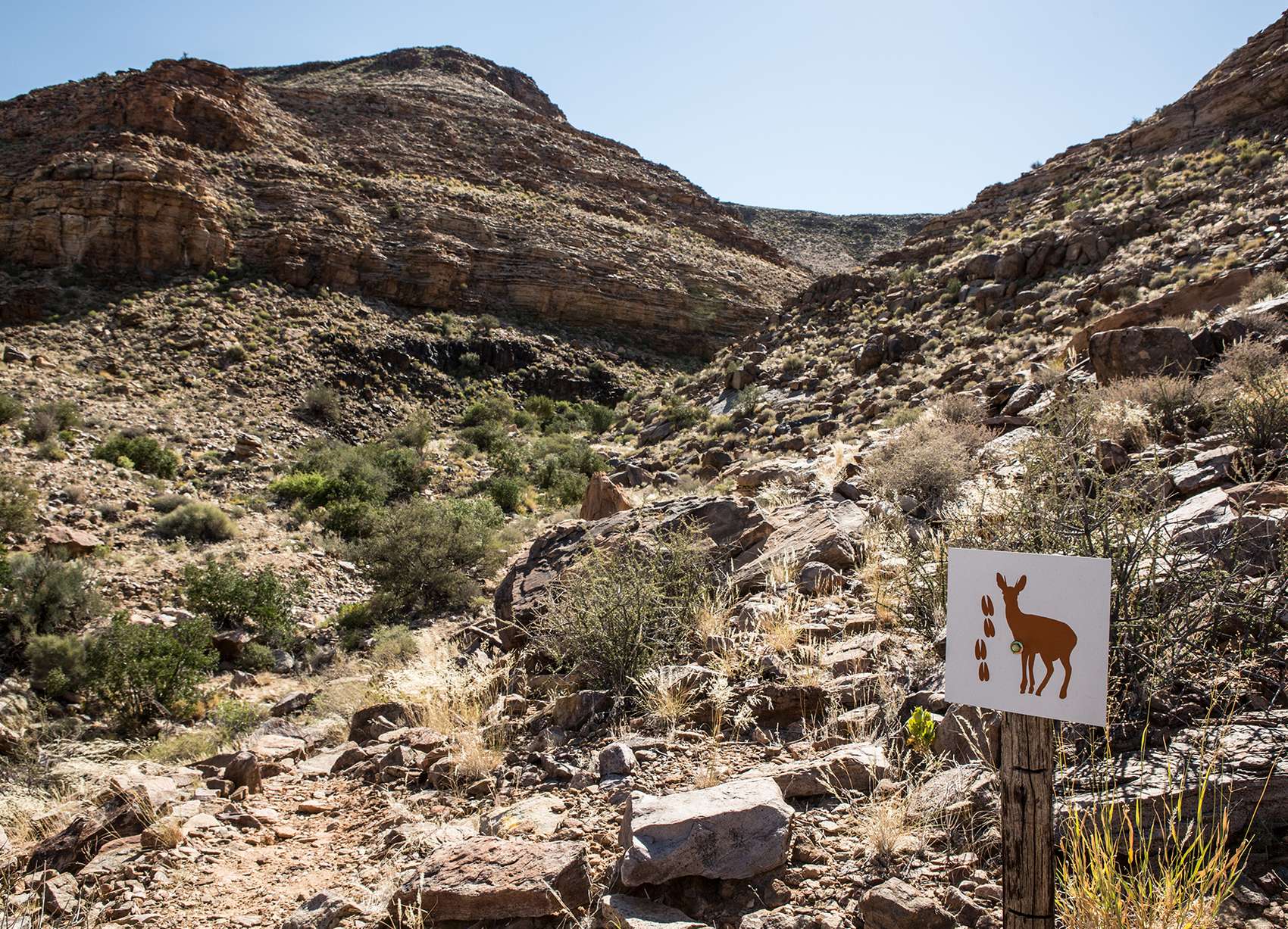 Fish River Canyon safaris, tours and holiday packages