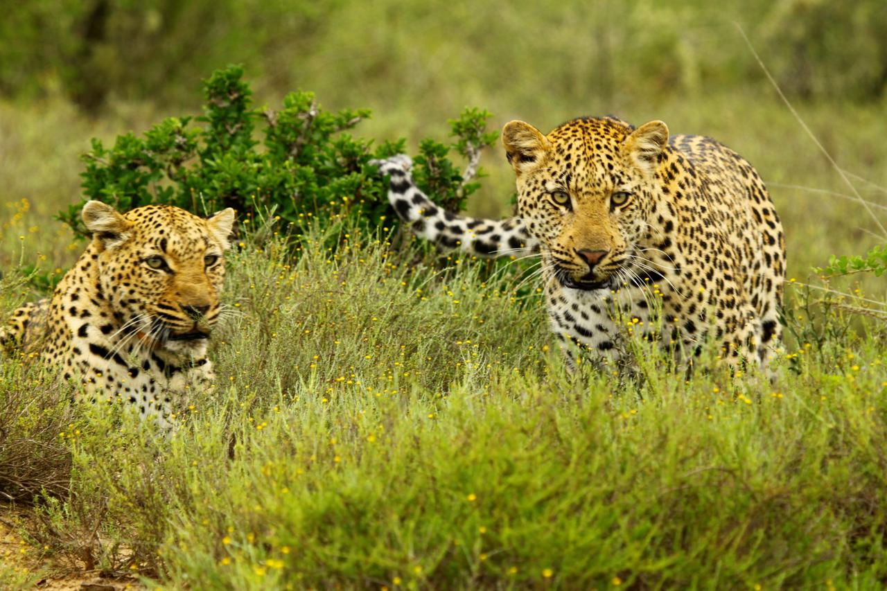 Eastern Cape safaris, tours and holiday packages | Discover Africa Safaris