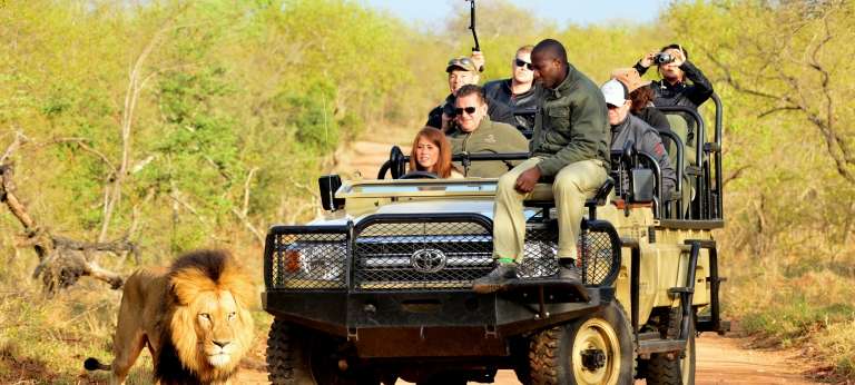 Kapama Private Game Reserve