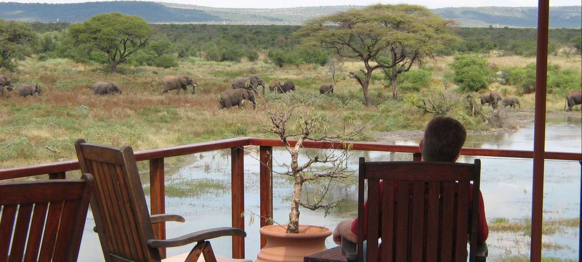 Madikwe Game Reserve - Africa Wildlife Safaris
