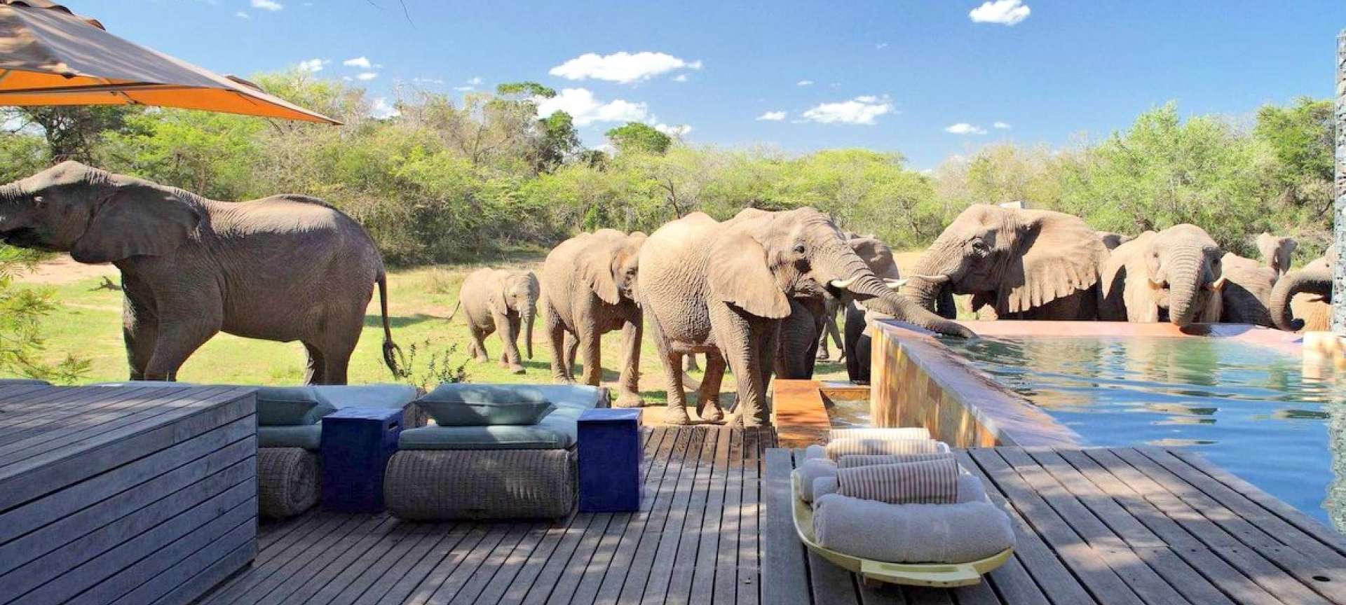 Phinda Game Reserve - Africa Wildlife Safaris