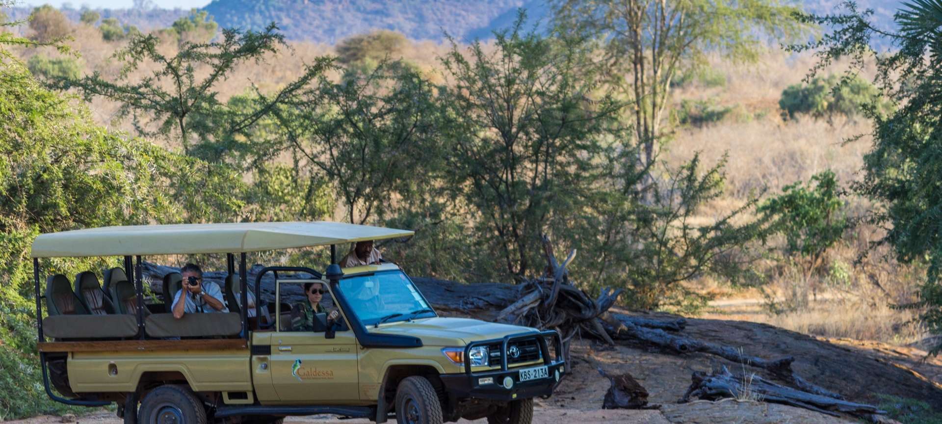 Phinda Game Reserve - Africa Wildlife Safaris