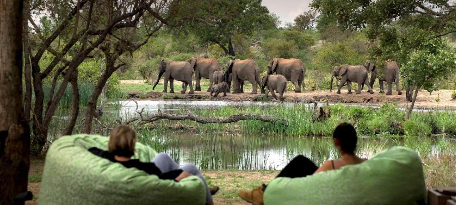 Timbavati Private Nature Reserve Safaris Tours Holiday Packages Discover Africa Safaris