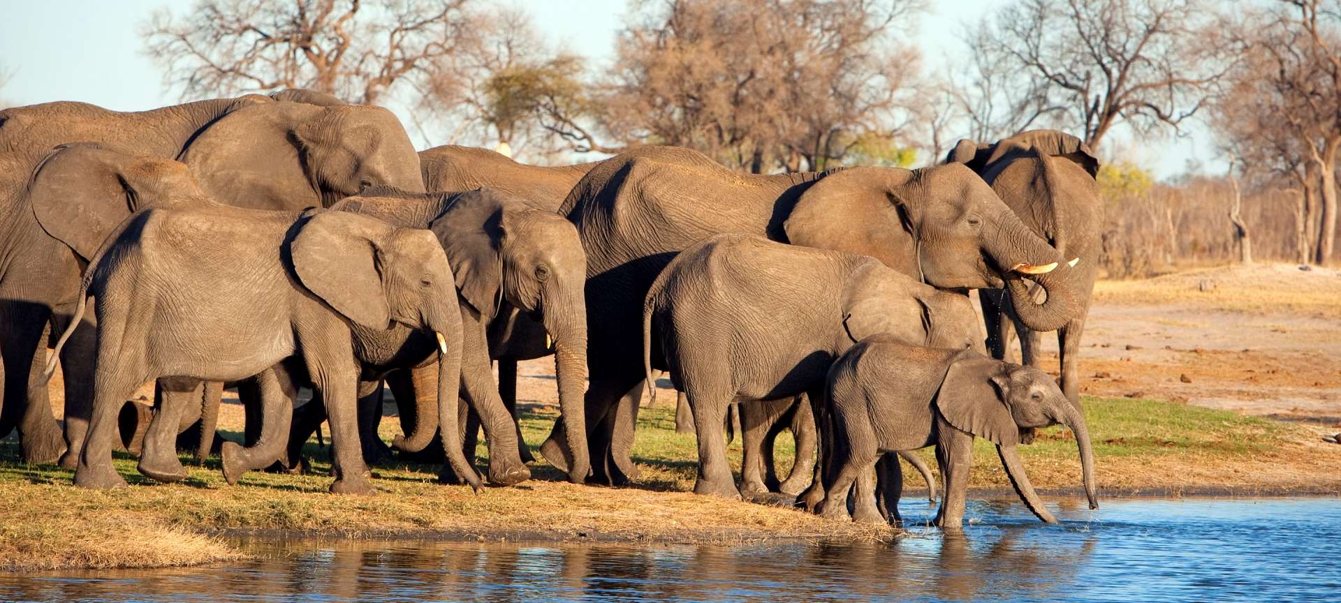 Hwange National Park - Africa Wildlife Safaris