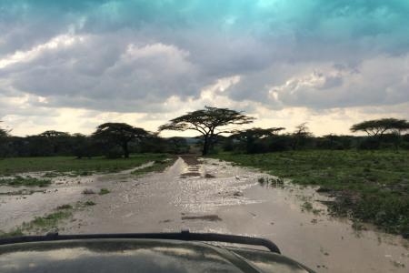 flooded-pathway-in-the-southern-serengeti