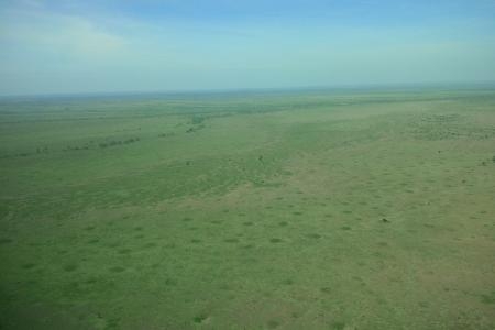 aerial-view-of-the-serengeti