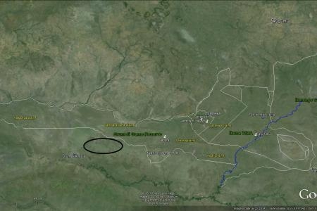 location-of-the-wildebeest-herds