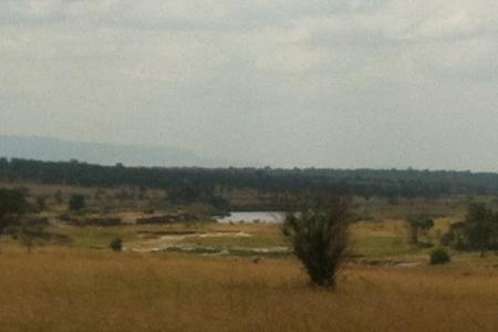 the-view-from-the-mara-river