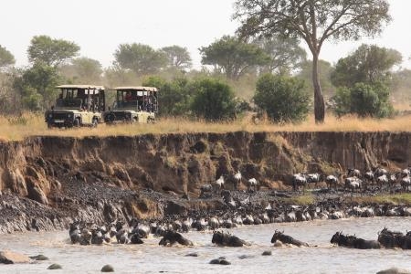 herds-moving-into-the-mara