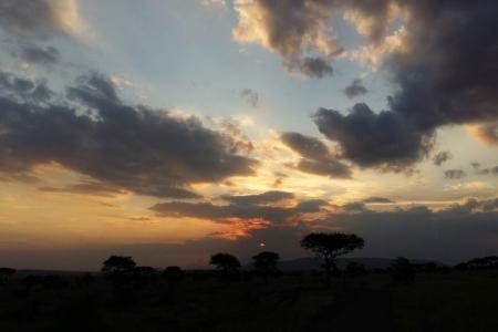 sunset-in-the-serengeti