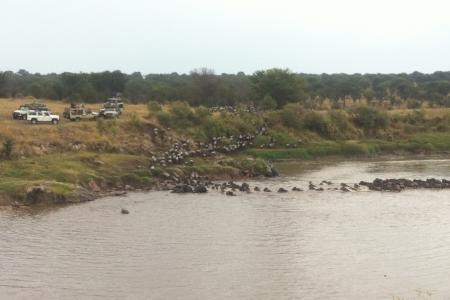 mara-river-crossings