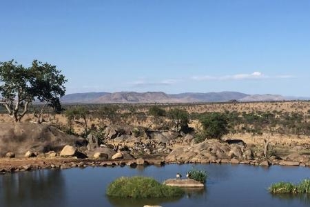 small-herd-around-the-waterhole-at-the-four-seasons