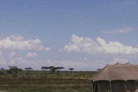 The view from Namiri Plains Camp