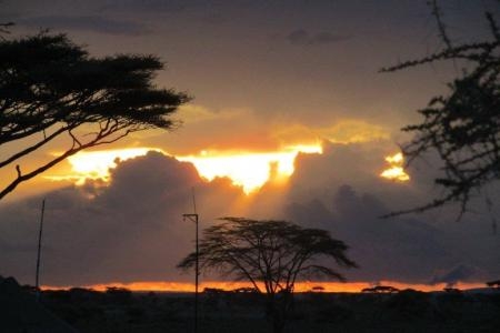 Rain in the Serengeti