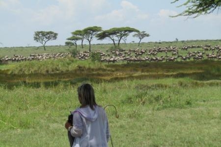 The herds have returned to Namiri Plains Camp